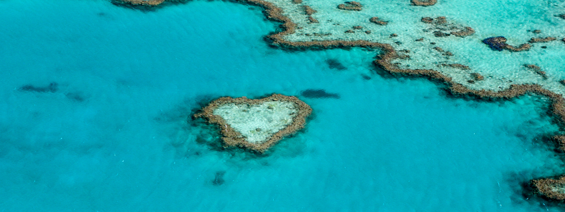 Understanding the ‘Leaky Gut’ Problem