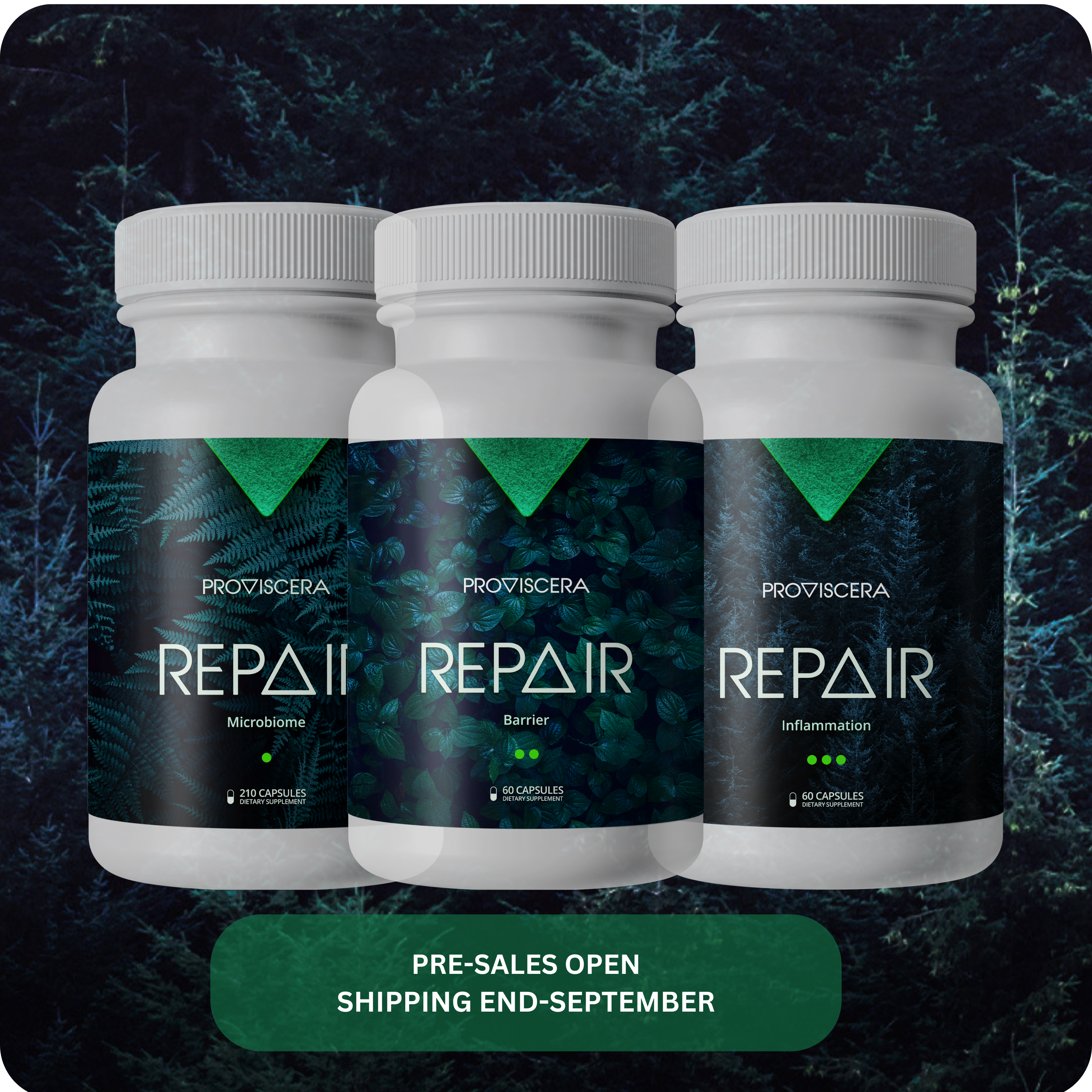 Proviscera REPAIR Protocol