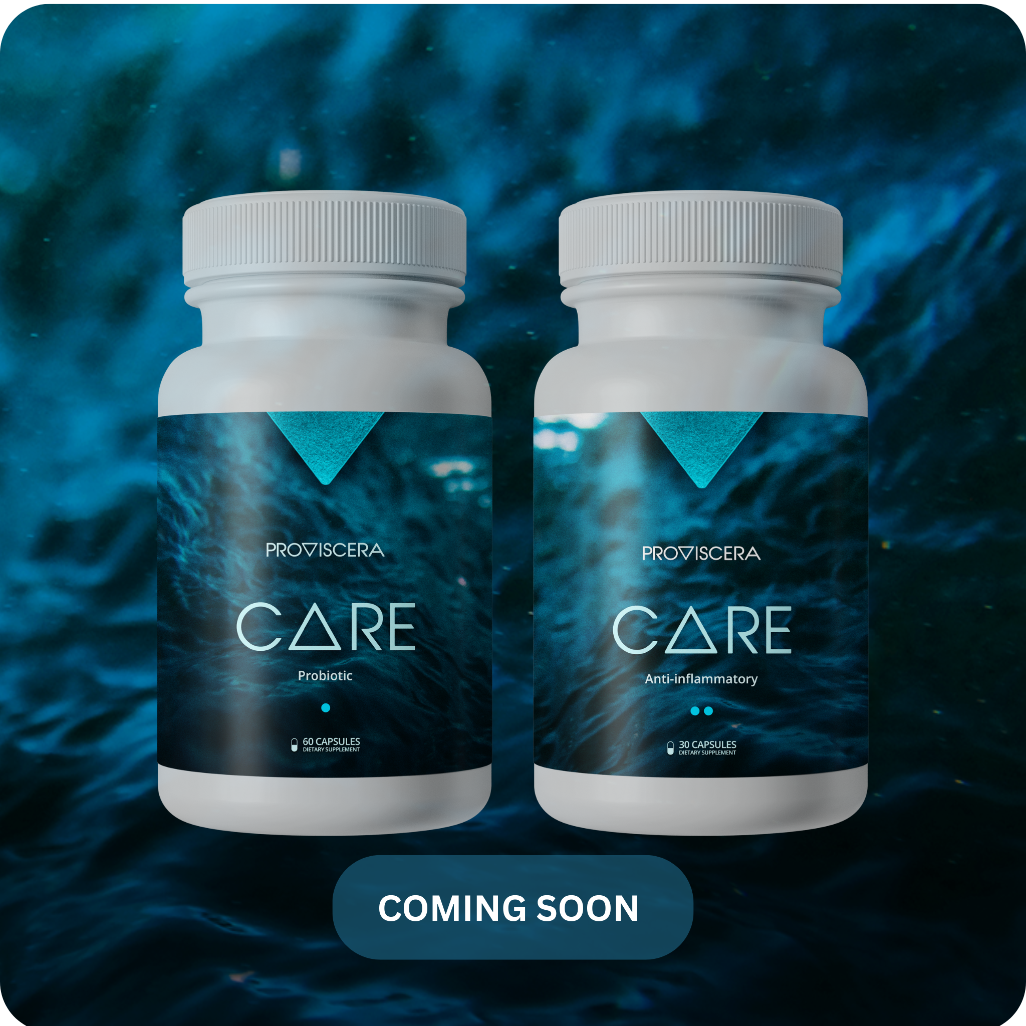 Proviscera CARE Protocol