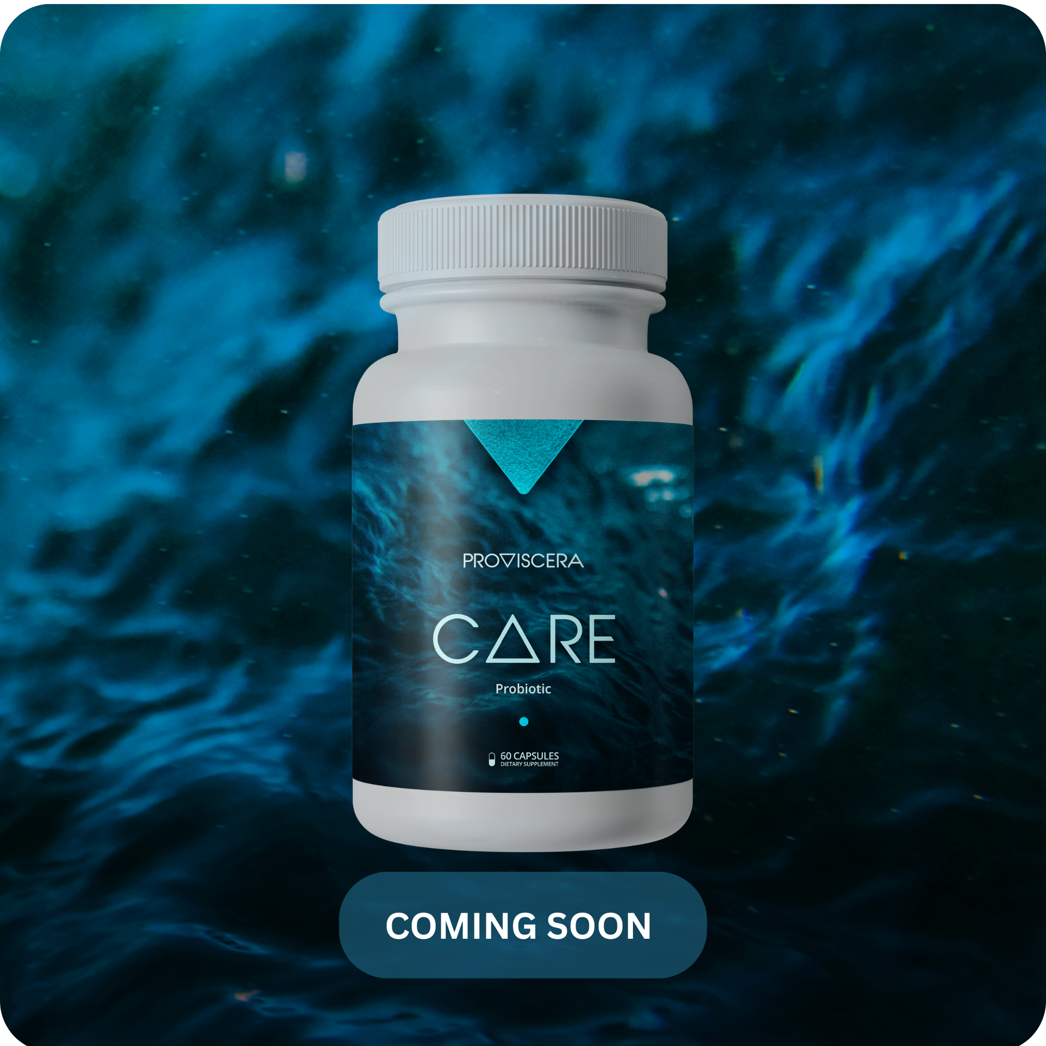 Proviscera CARE Probiotic only